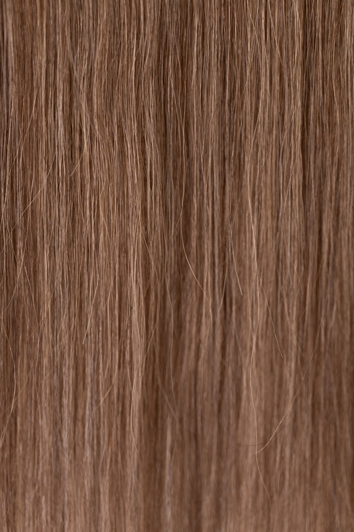 Greigh- Beaded Veil