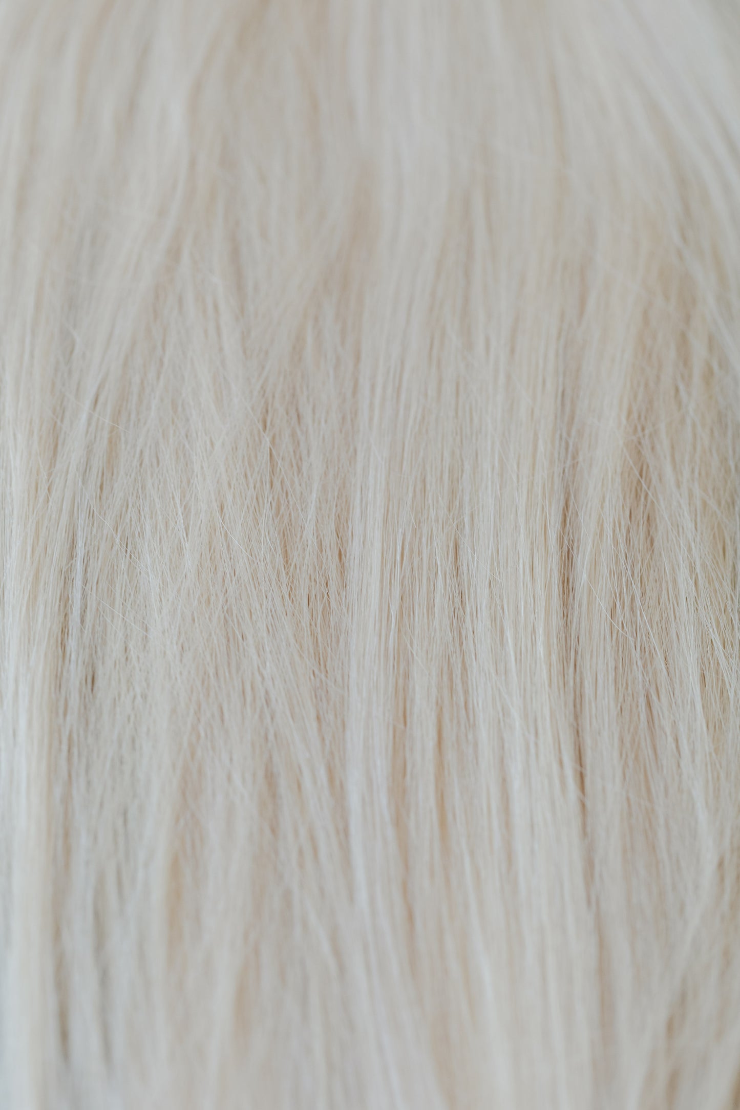 Lauren ROOTED-Beaded Veil